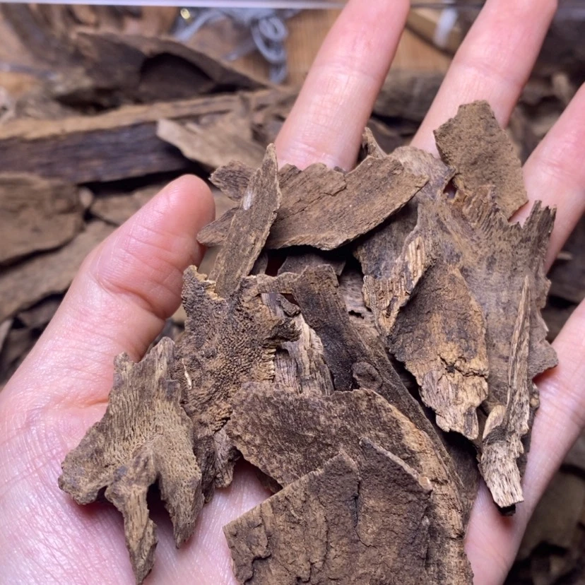 【闪购商品】香榧木碳化老包头5克