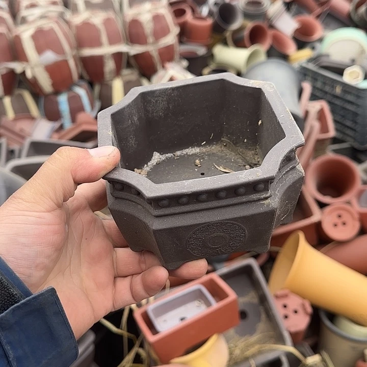 是因为她太喜欢了所以还是觉得不应该在学校看这个