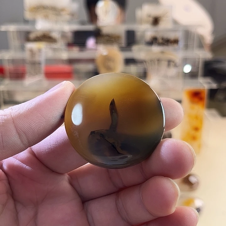 在***人未镶嵌吊坠(不含链)玛瑙/玉髓