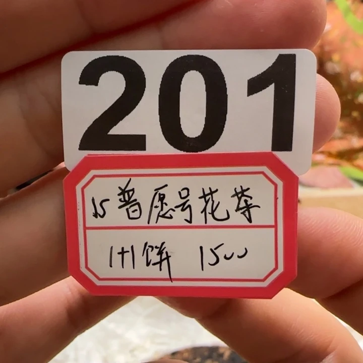 紫砂茶壶201..............