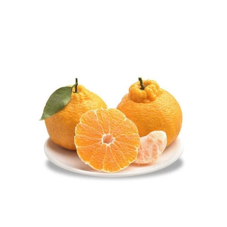 四川狮子头耙耙柑 整件/1公斤