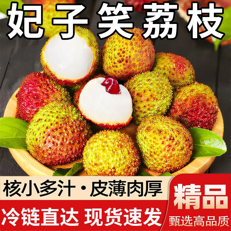 广东岭南妃子笑荔枝新鲜现摘顺丰京东冷链包邮