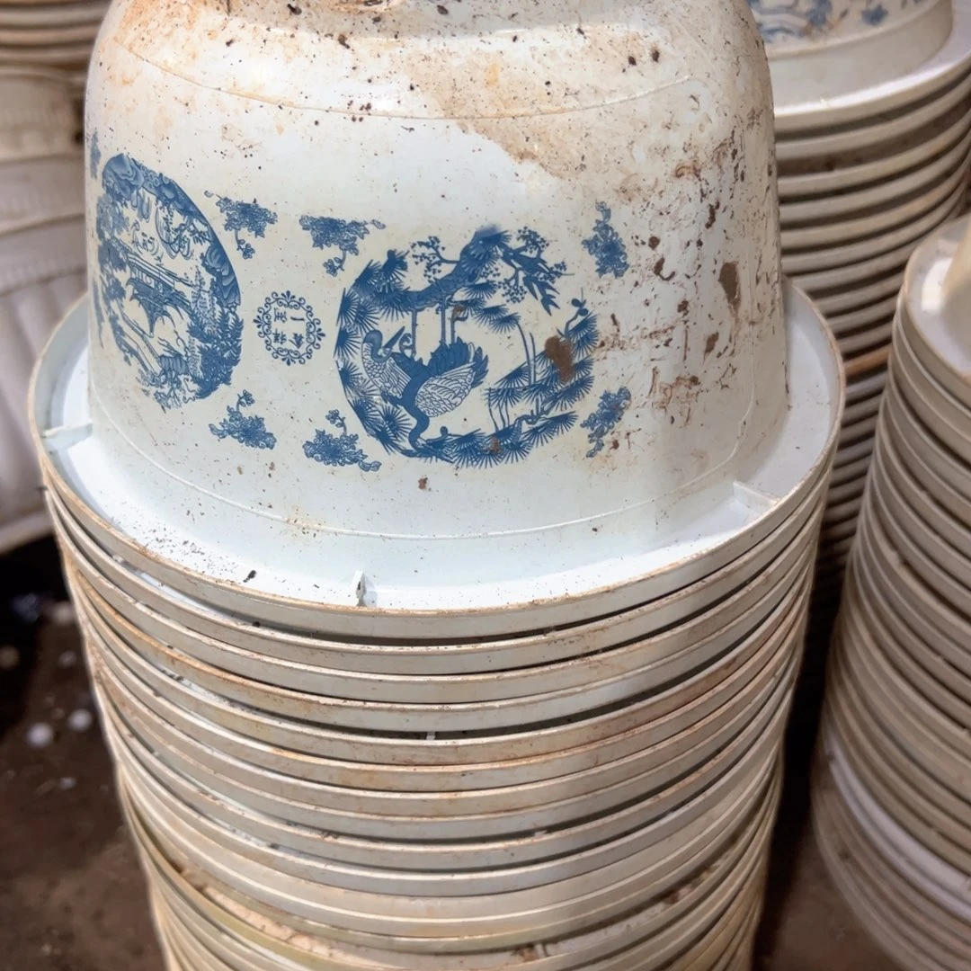 富贵花开盆21口径13.5高 20个