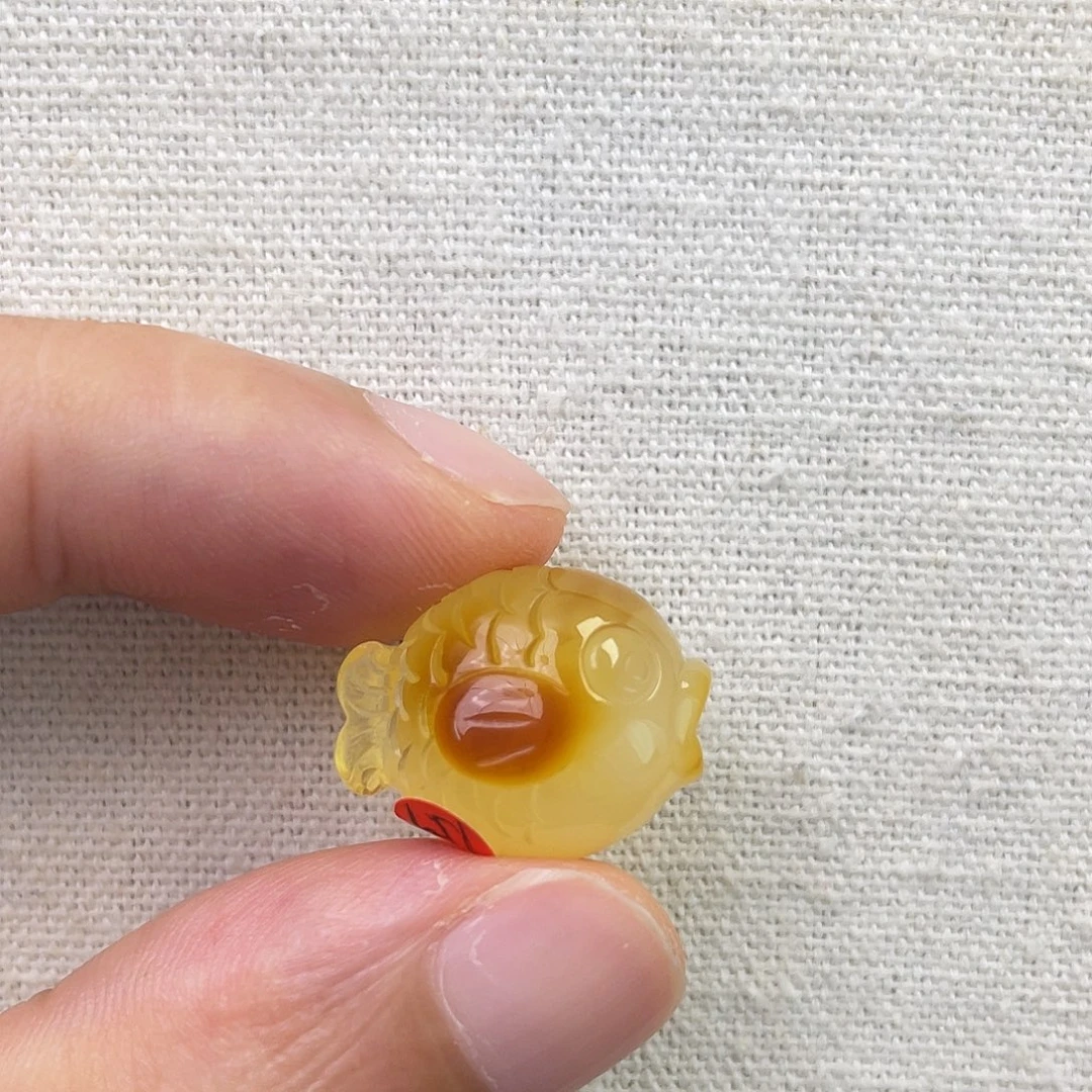 裸石琥珀未镶嵌肥鱼