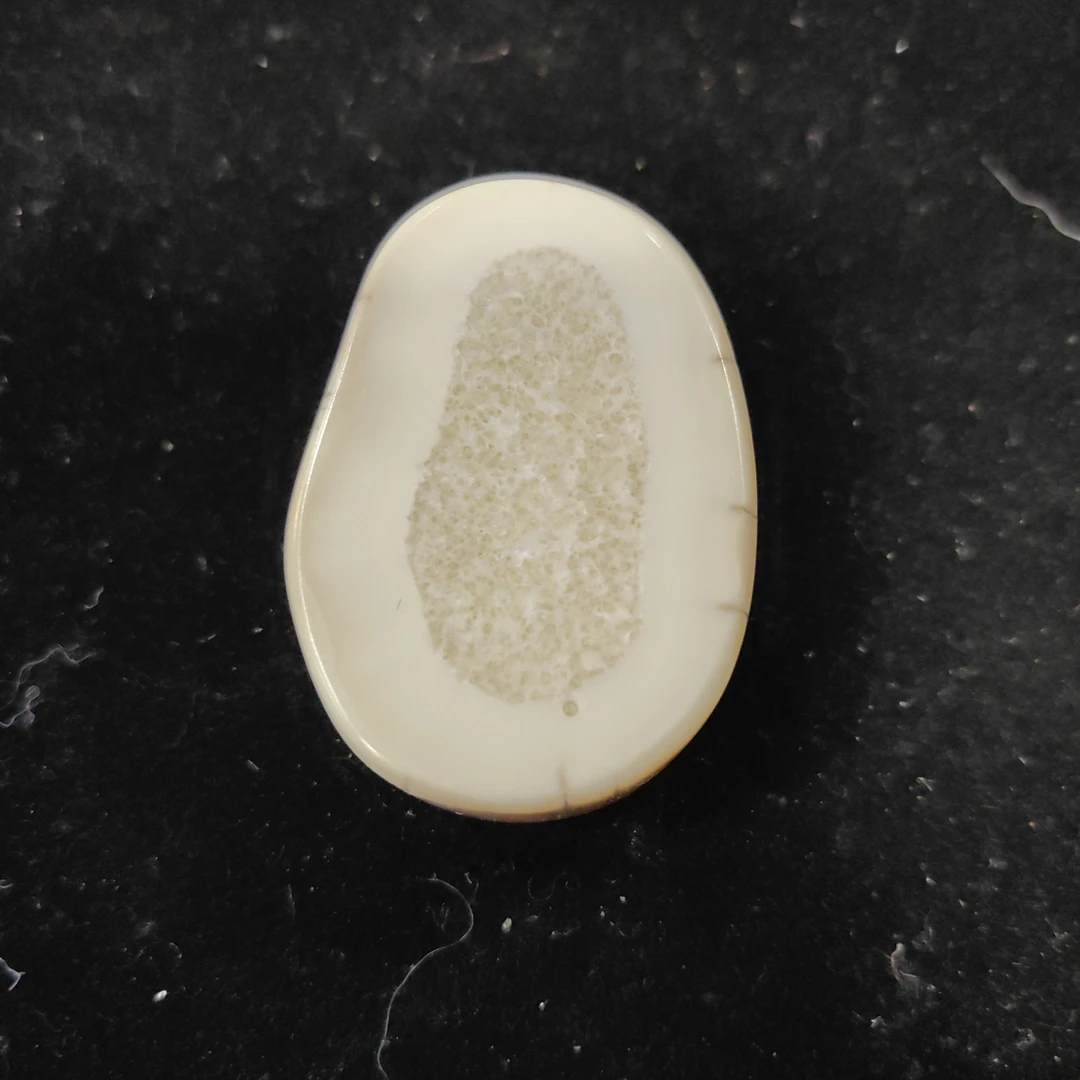 猛犸猛犸虬饼子WT642