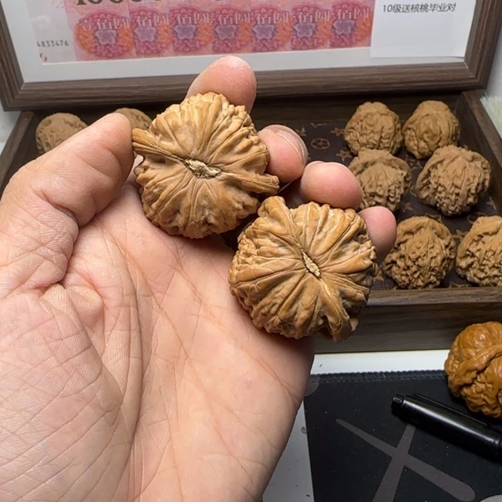 核桃手串/手链不****。42白狮子