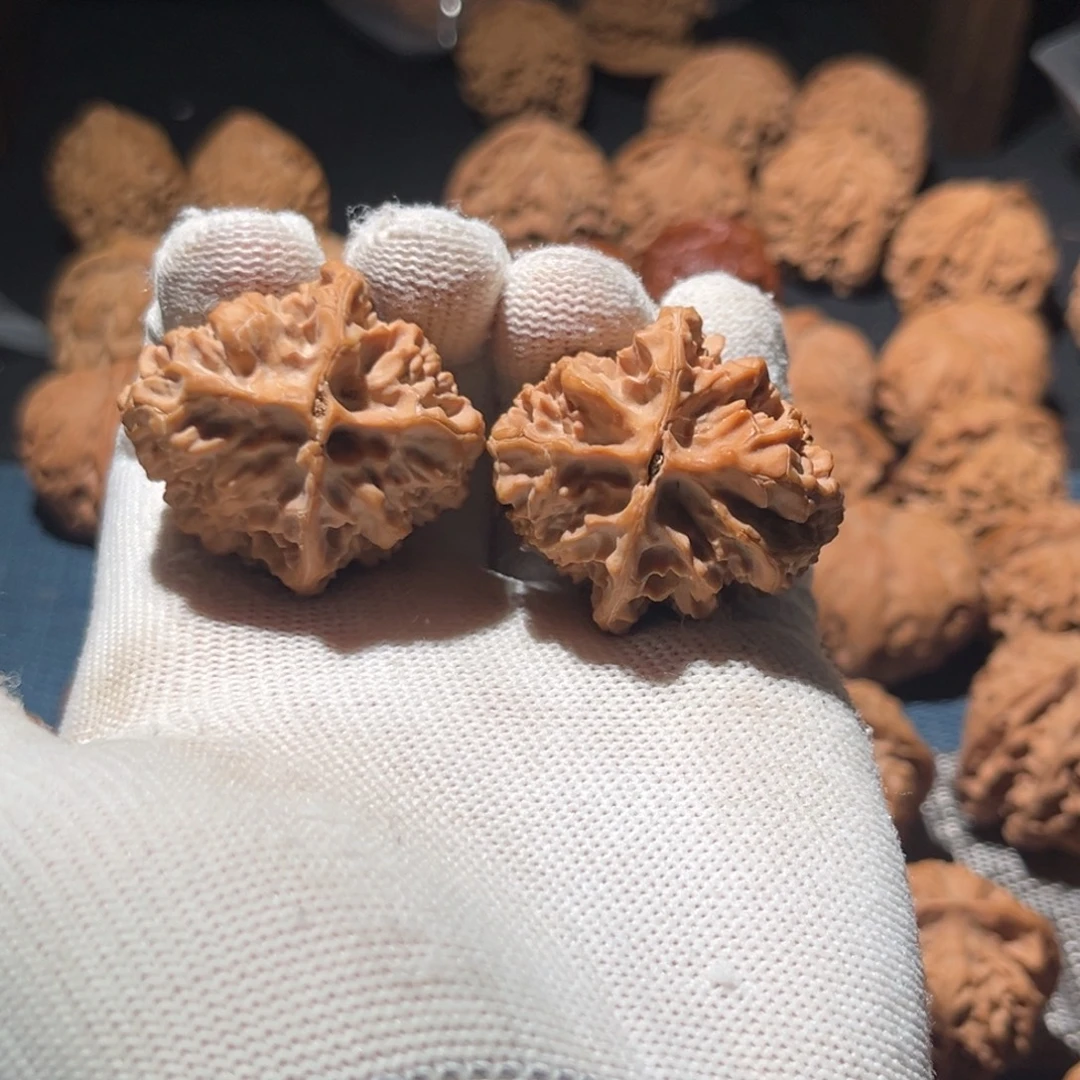 核桃36全品毕业十三陵鸡心