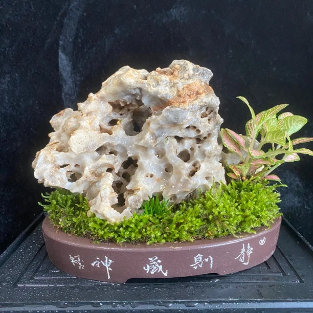 粉黛｜名家紫砂盆天然玲珑石贵船苔茶台书房书桌桌面微型盆景石景