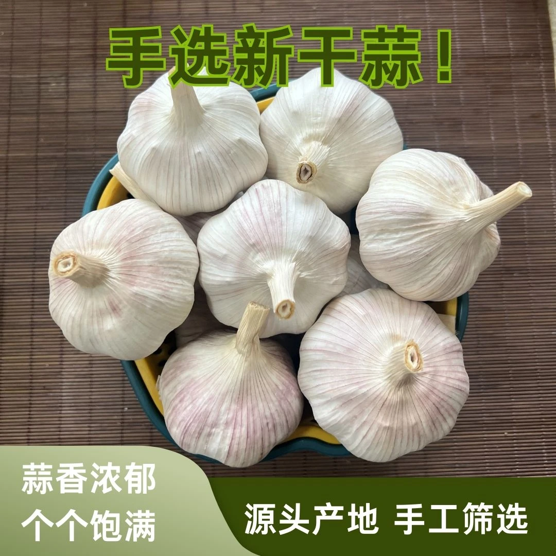 【杞县产地直发】5斤农家新干蒜杞县特产紫白皮大蒜5斤新鲜生鲜果蔬