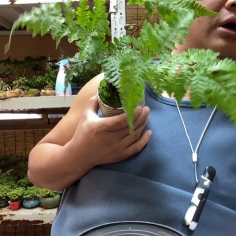 红陶多*一物一拍所见即所得217