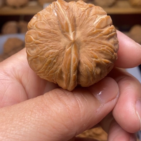 ****文玩核桃把件核桃