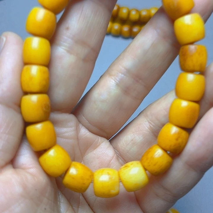 大果紫檀（缅甸花梨）