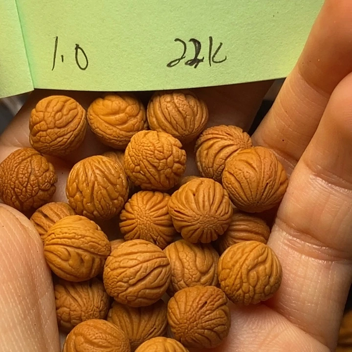 手串文玩核桃秦岭龙纹桃核10尺寸