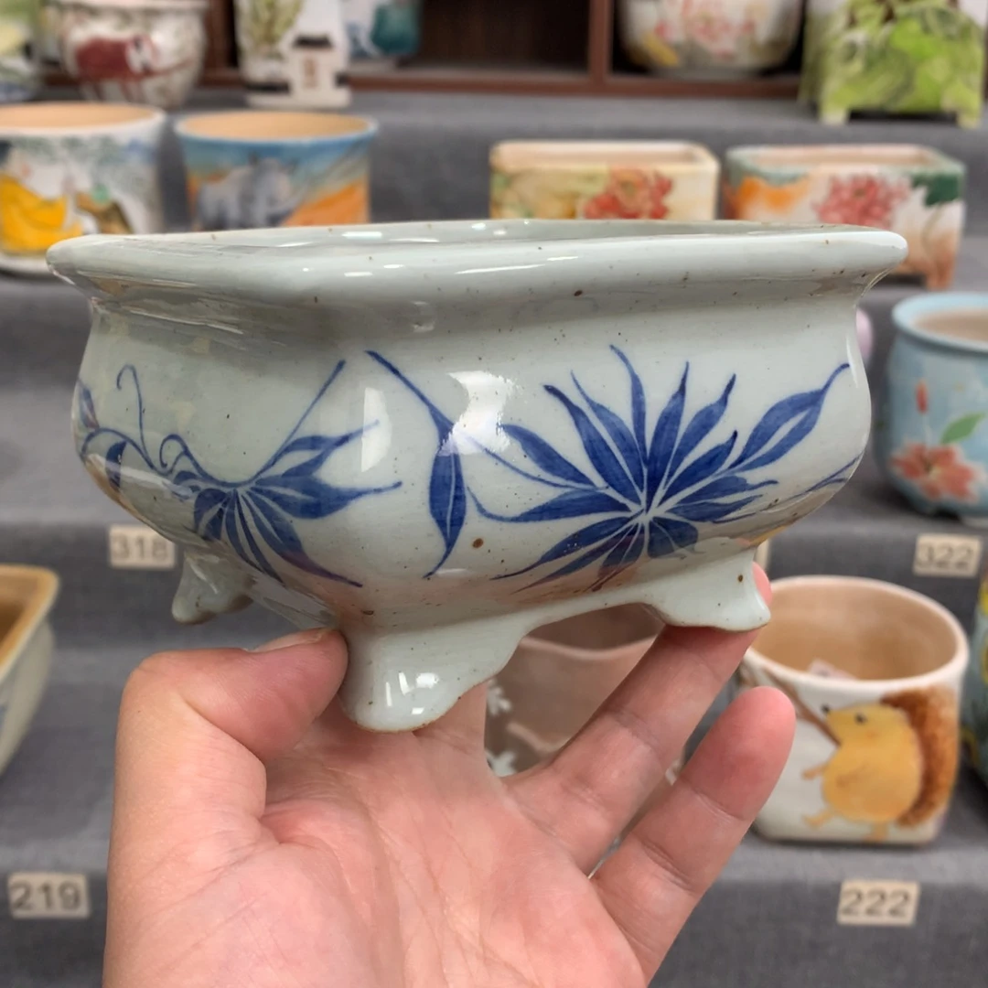 罐年假前的最后几场直播活动