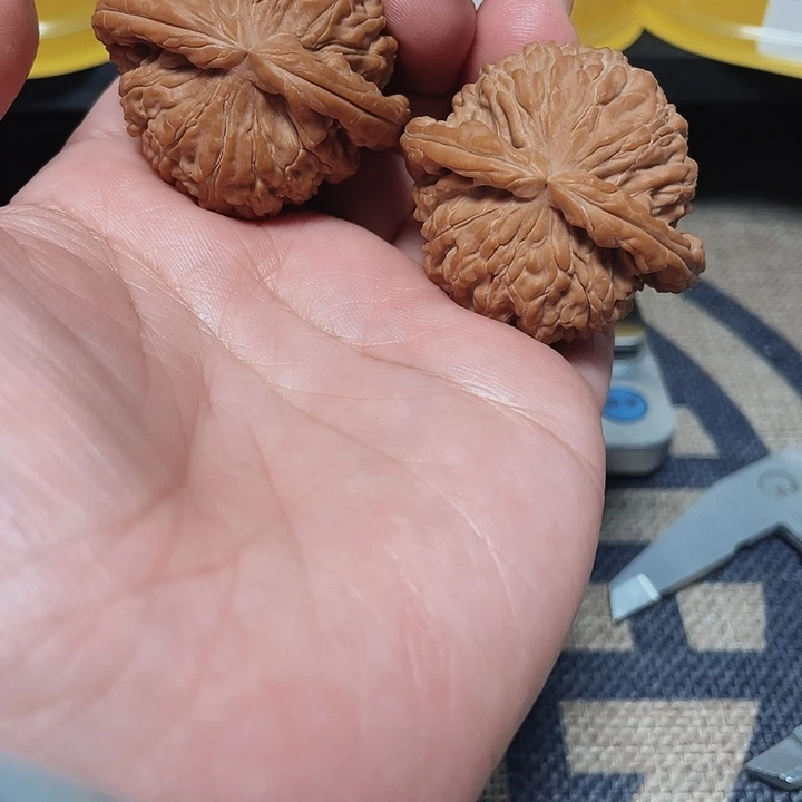 文玩核桃把件乐*白狮子41