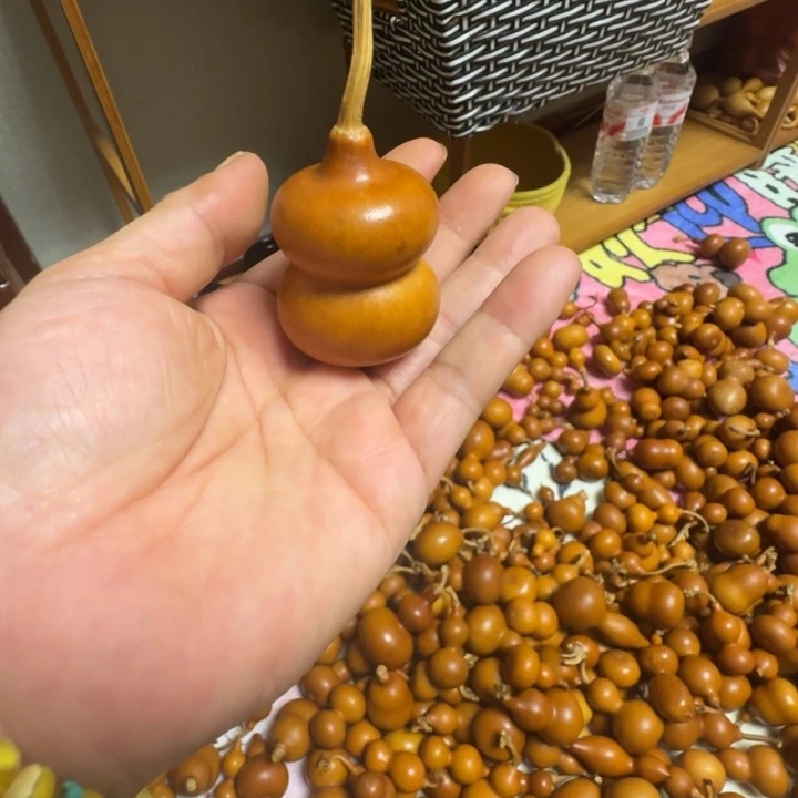乐****精品课程等课程体系