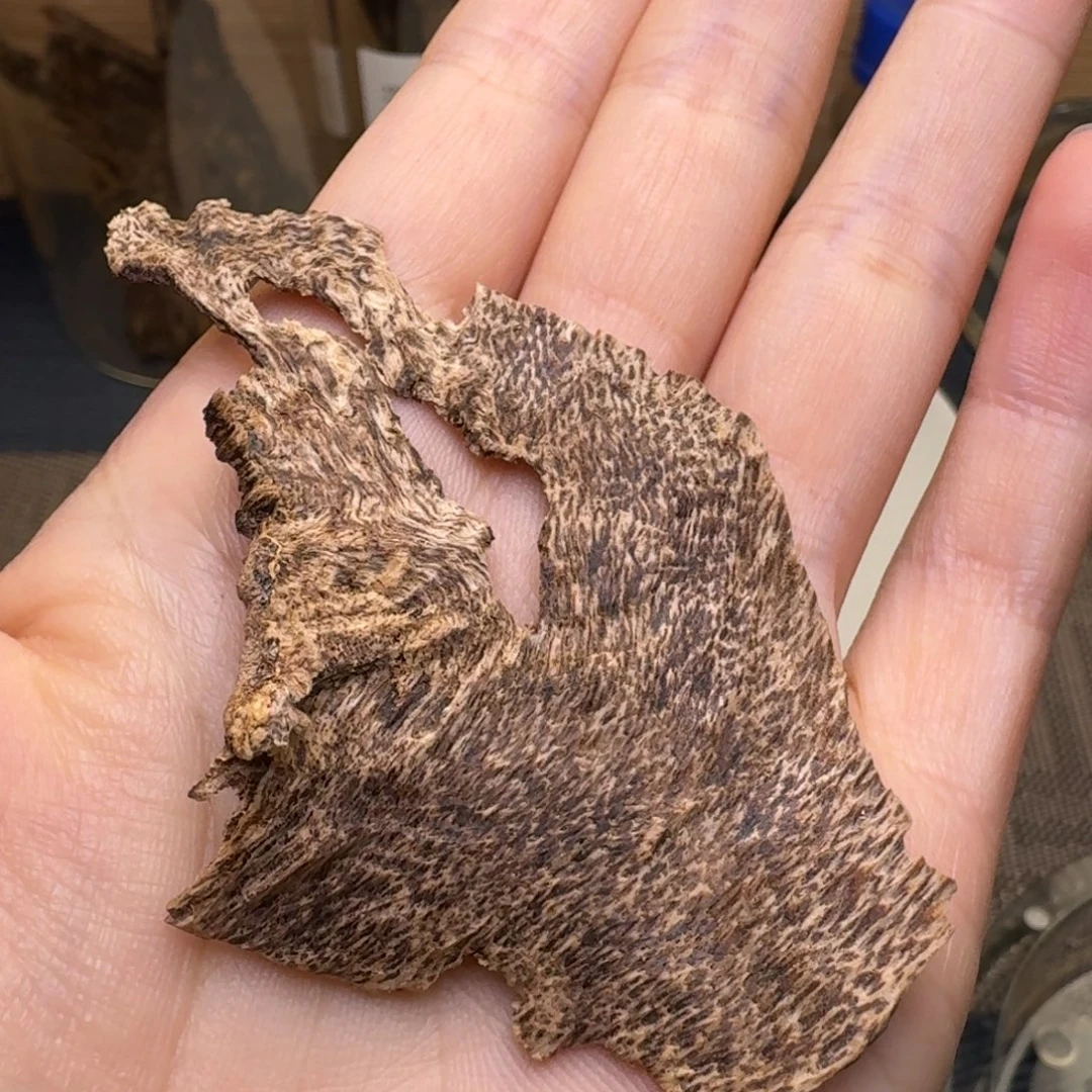中***心木海南尖峰岭沉水鹧鸪斑3克