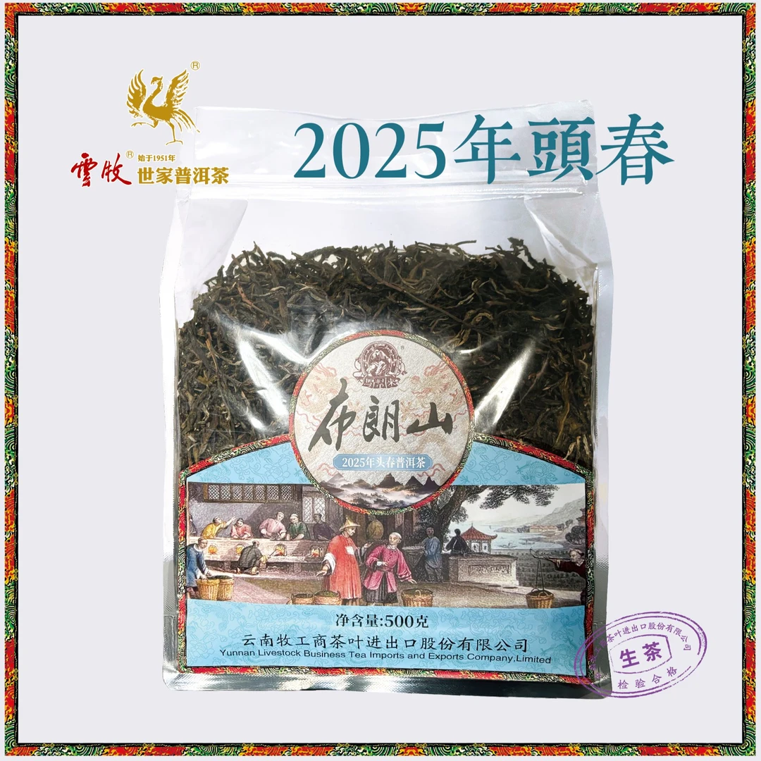 【茶植主义专属】2025年首春布朗山老树茶（生茶）云牧布朗山老树茶