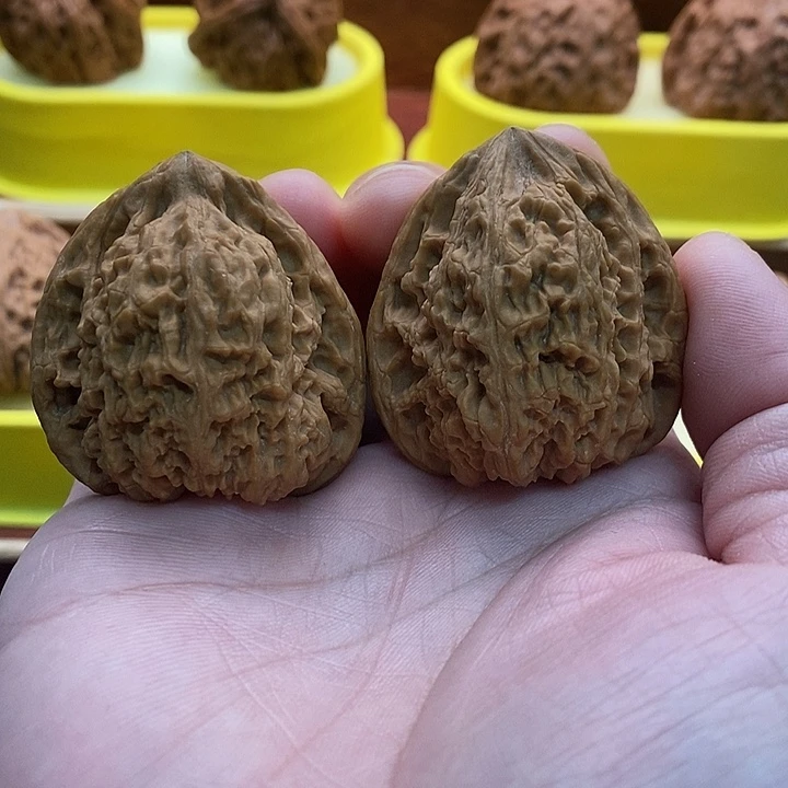 吊坠文玩核桃南疆