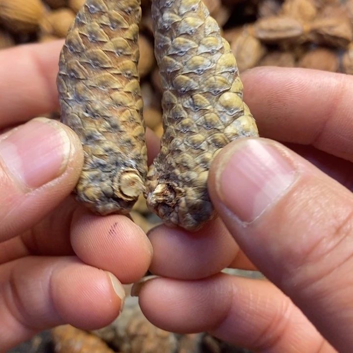 吊坠桃核东北特产164