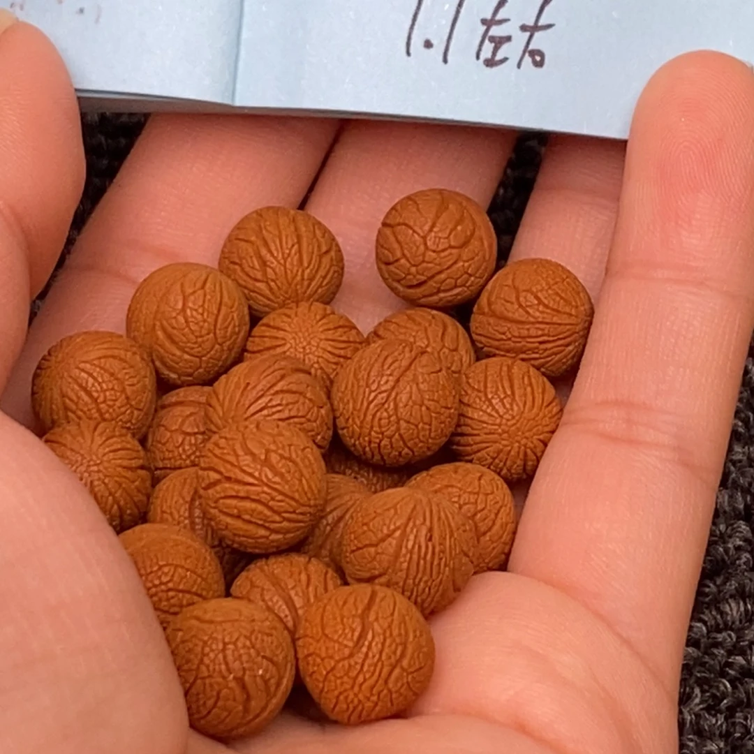 秦岭山脉龙纹桃核