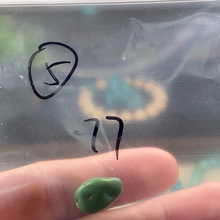南红玛瑙未镶嵌珠宝奇石