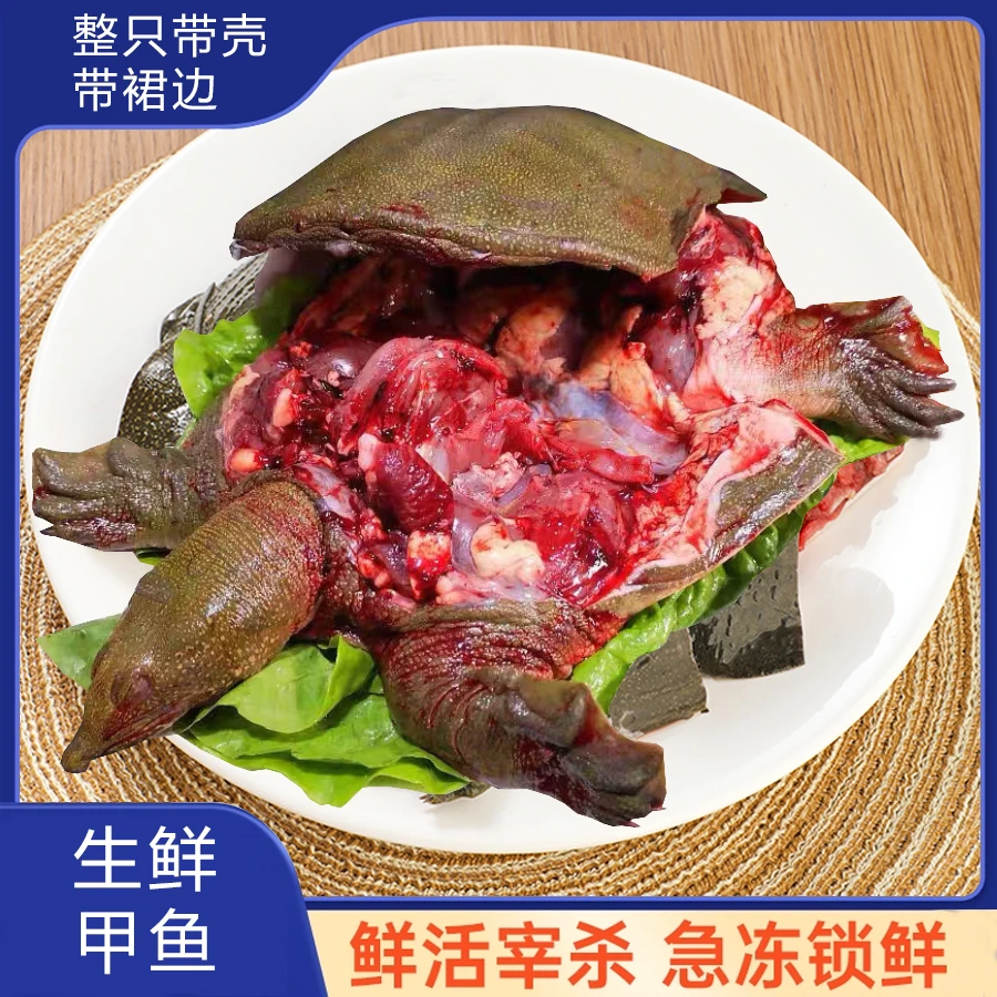 【老鳖】外塘活水散养甲鱼0.7-0.8斤/只鲜活宰杀免处理营养滋补