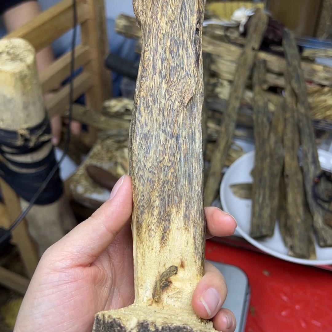 线香奇楠虫漏香摆件