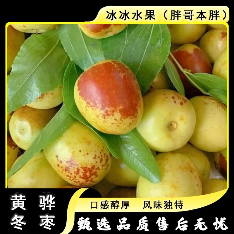 【散装】[Y]河北黄骅冬枣 箱/净重3斤 仅限太原晋中吕梁忻州可拍