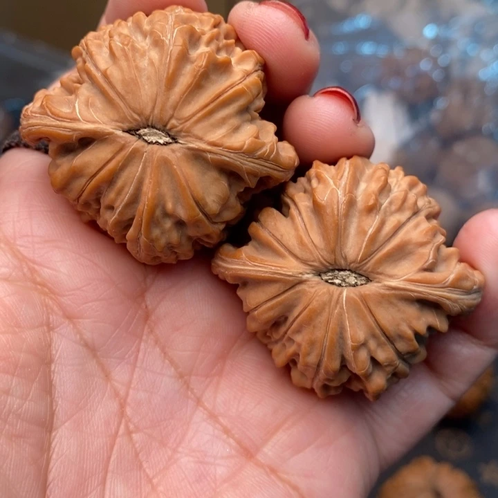 木质类磨盘43尺核桃