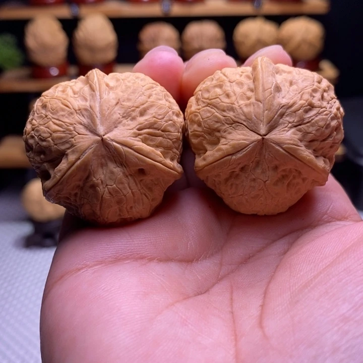 木质类云铁寿桃三棱16号