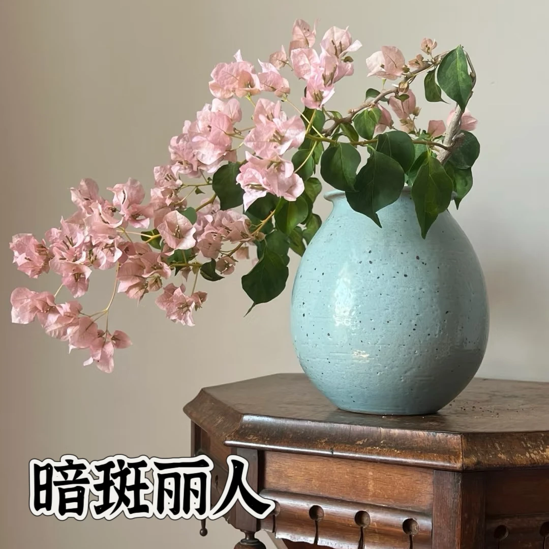 【暗斑丽人】三角梅袋苗基地直发新品种稀有品种四季勤花【包对版】
