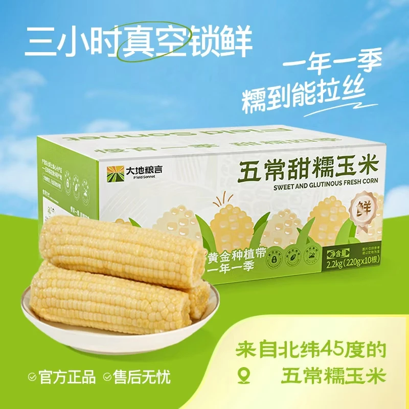 【25年新玉米】大地粮言东北五常鲜食白糯玉米饱满香甜软糯玉米