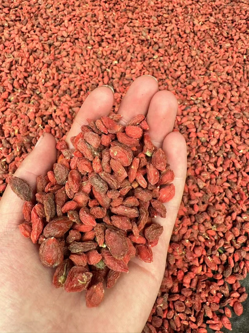 【甘肃高原野生红枸杞】无硫养生佳品