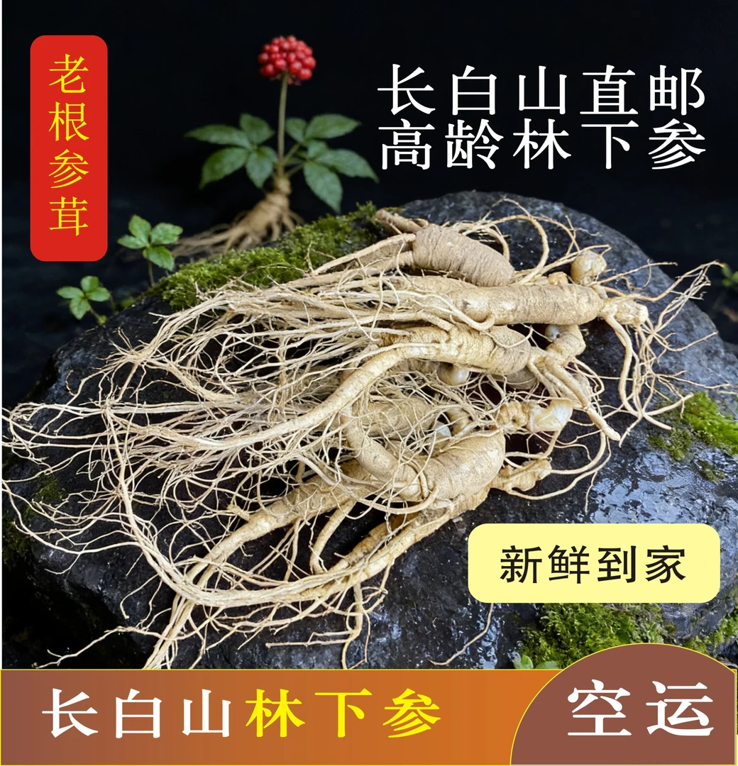 长白山新鲜林下参小支煲汤泡酒滋补食用