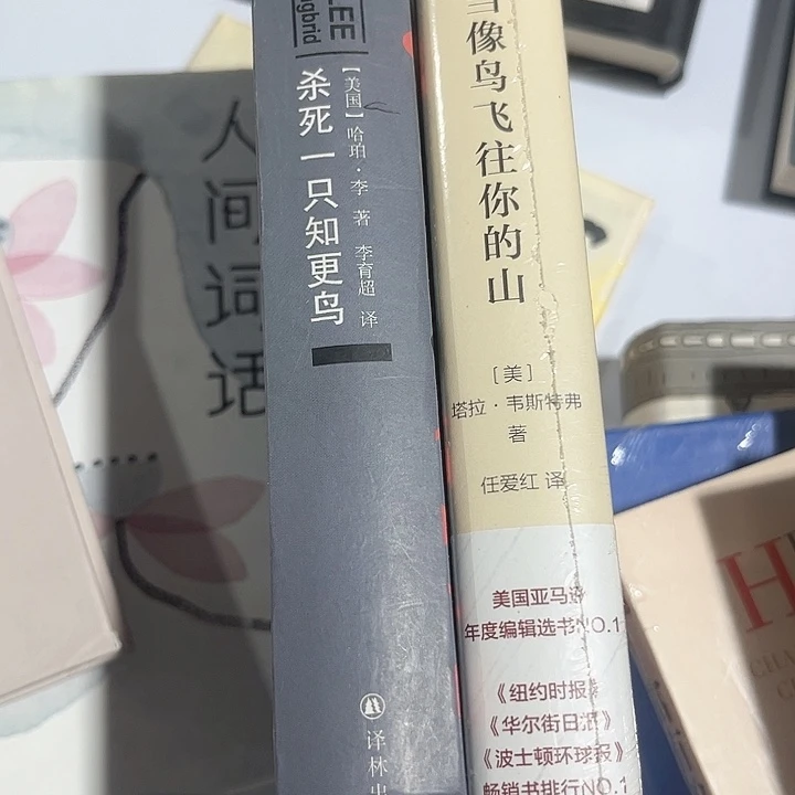 当鸟，知更鸟全新推荐