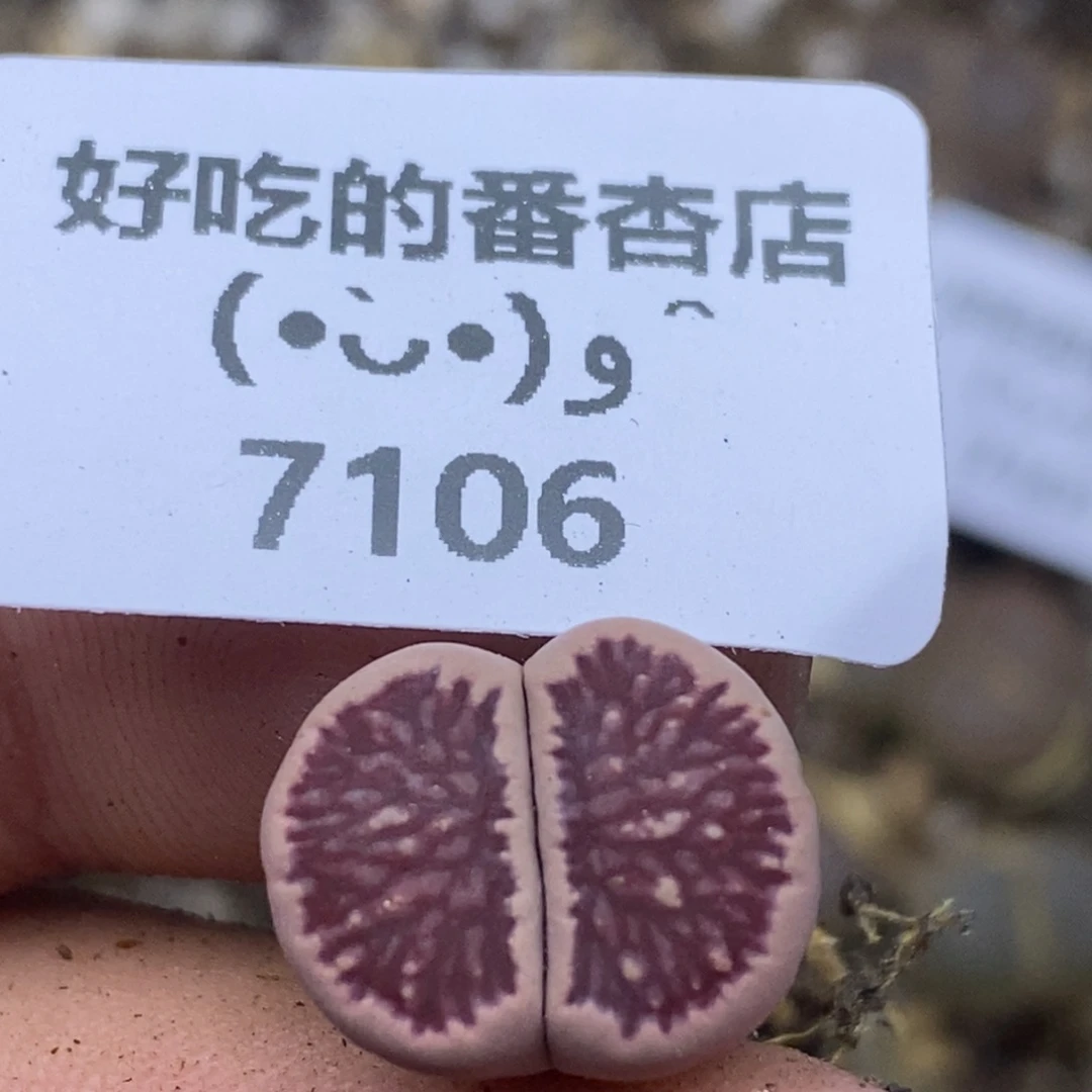 7106。18包邮.当天凑哦。新疆西藏88包邮