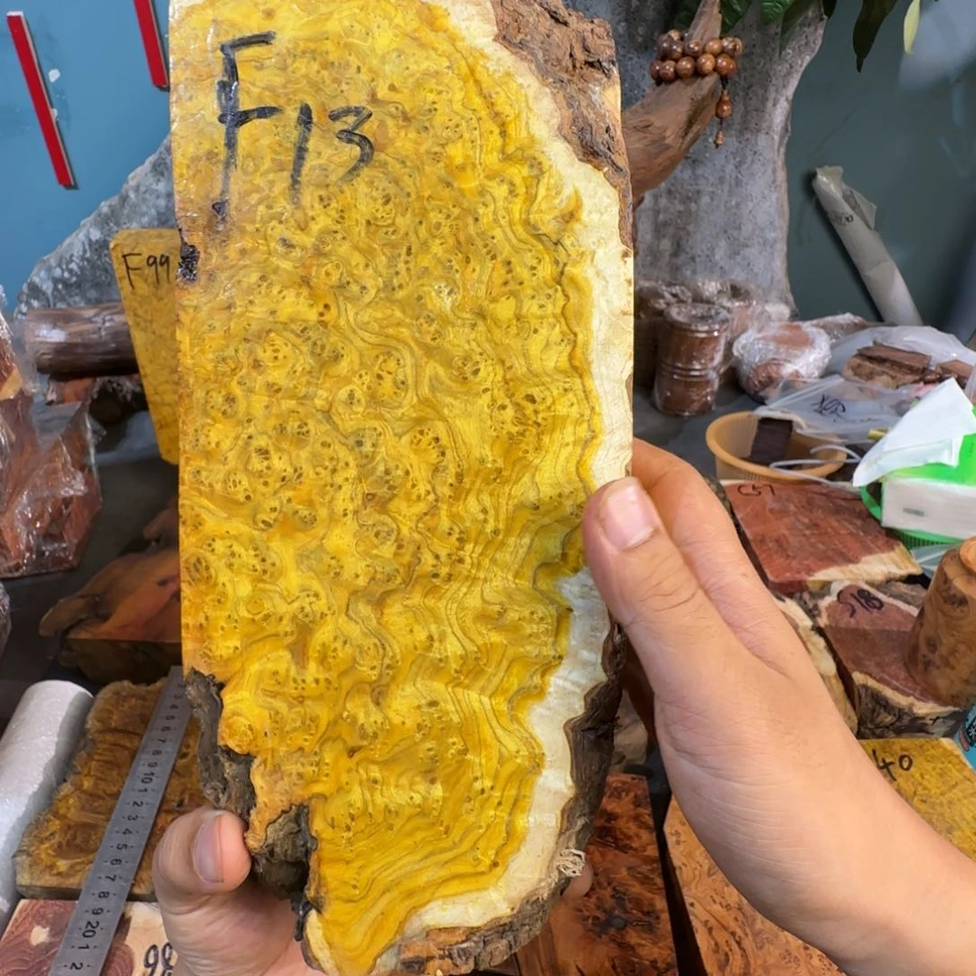 东*小叶羊蹄甲老料瘤疤料子