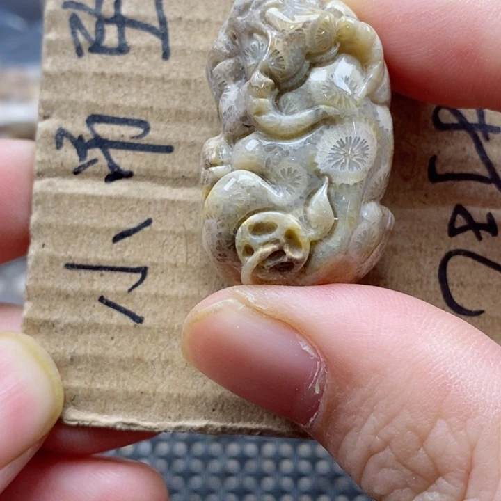 硅化珊瑚（珊瑚玉）颈饰未镶嵌