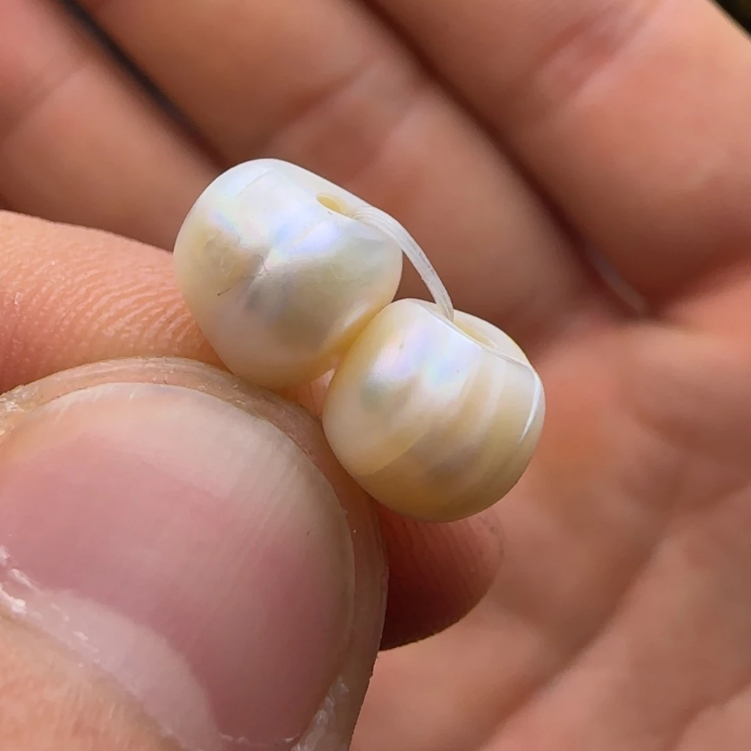 未镶嵌单淡水珍珠dishishi