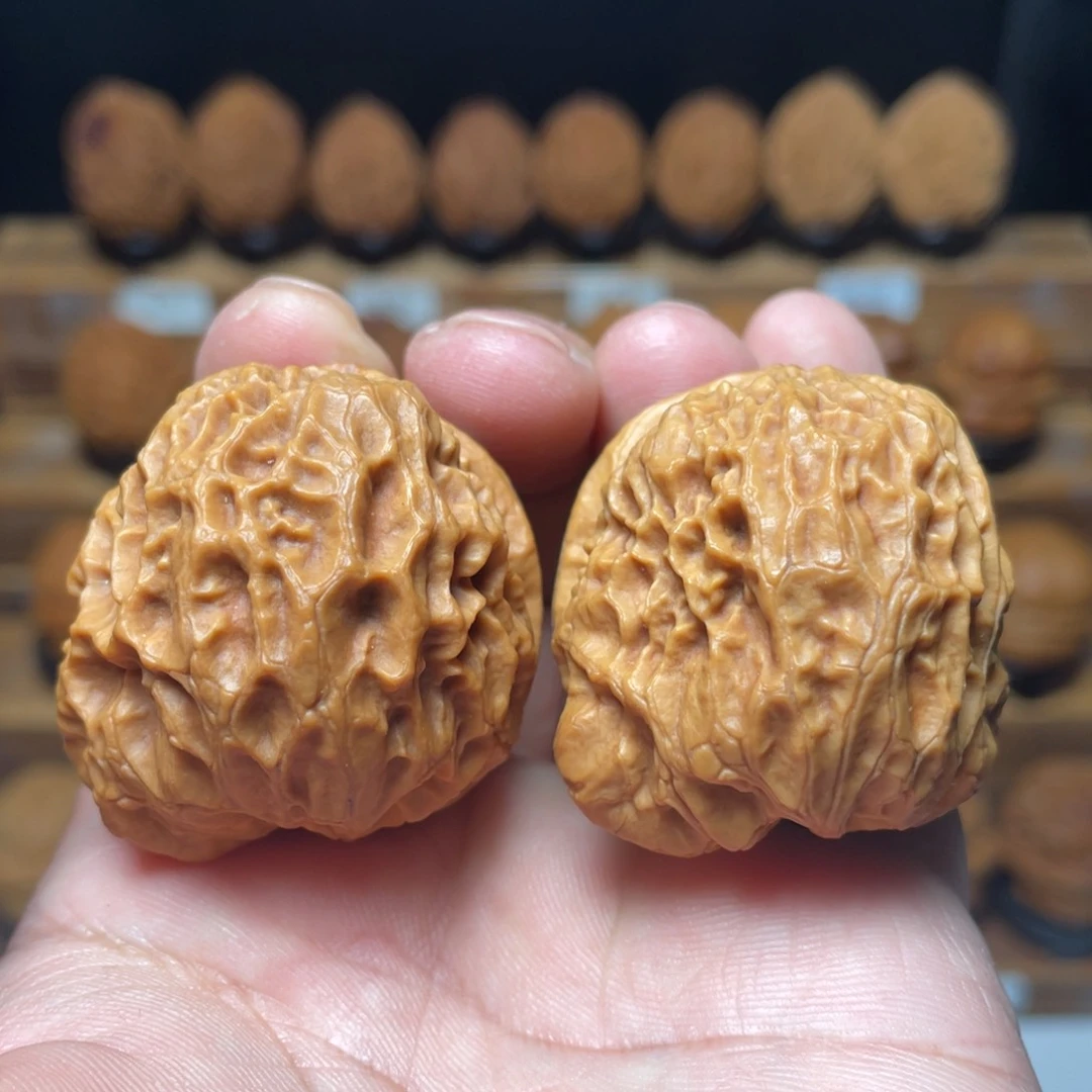 文玩核桃吊坠龙甲龟背