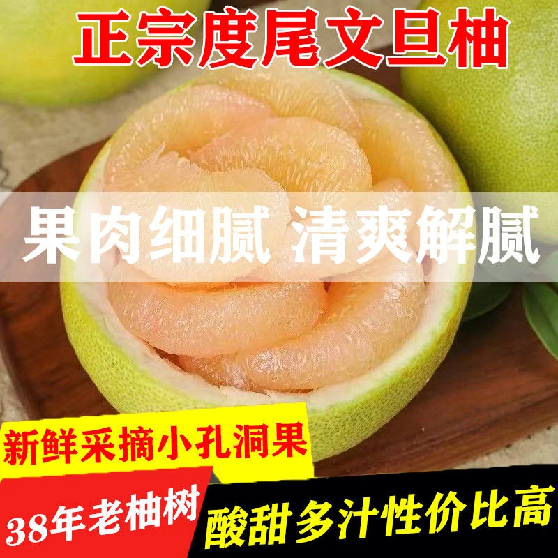 福建仙游度尾文旦柚酸甜爆汁当季柚子水果新鲜采摘现货速发