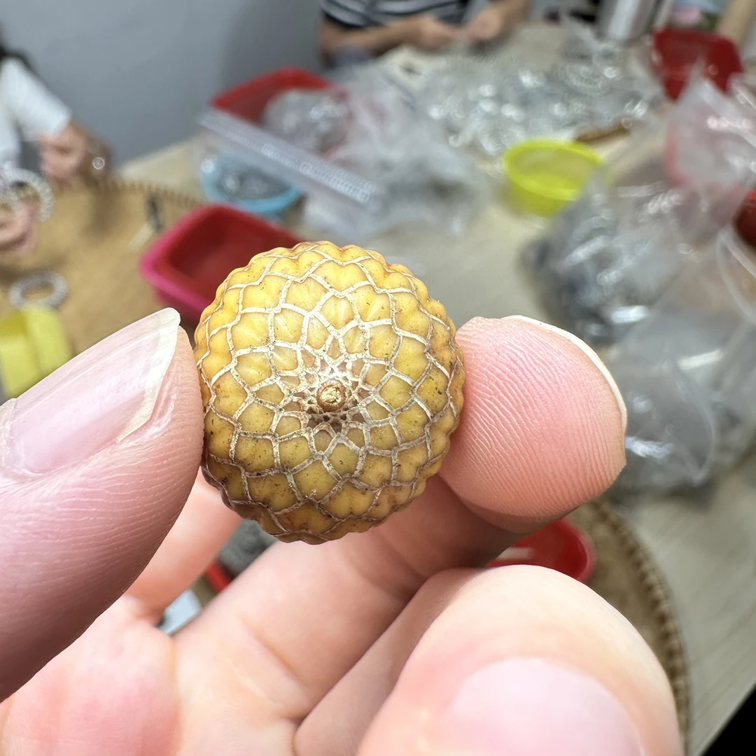 8 海南料原生态星月菩提 直播改价链接（勿乱拍）