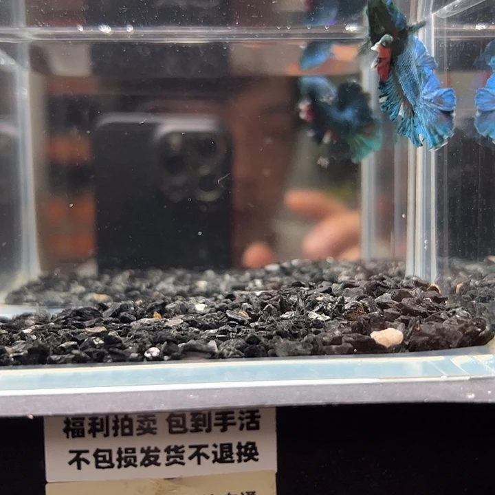 斗鱼竞拍跑单拉黑18日23