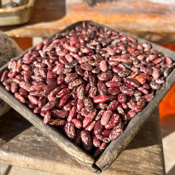 2025太行山梯田干花豆角籽五斤包邮到家