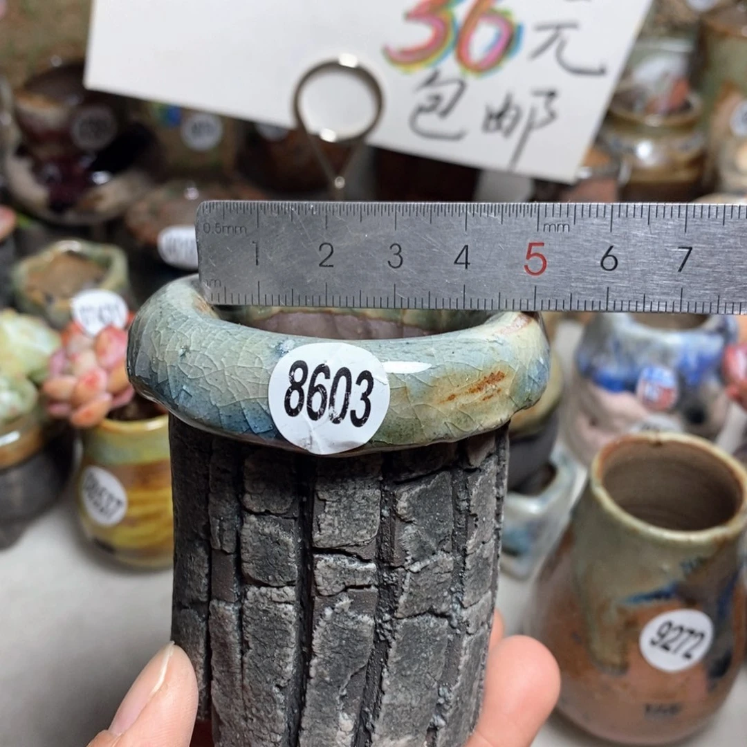 花盆拍3送一个小礼物