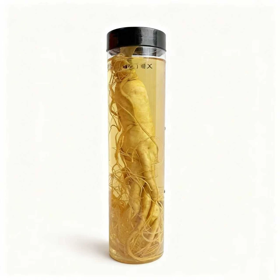 捴酒东北特产长白山鲜人参-园参