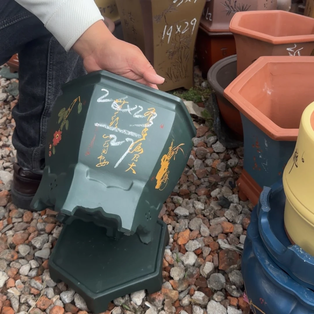 紫砂花盆花盆盆景盆栽