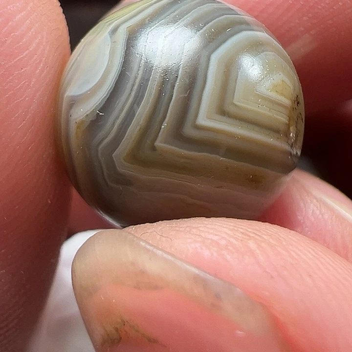 我们都是在这里看到的啦我们