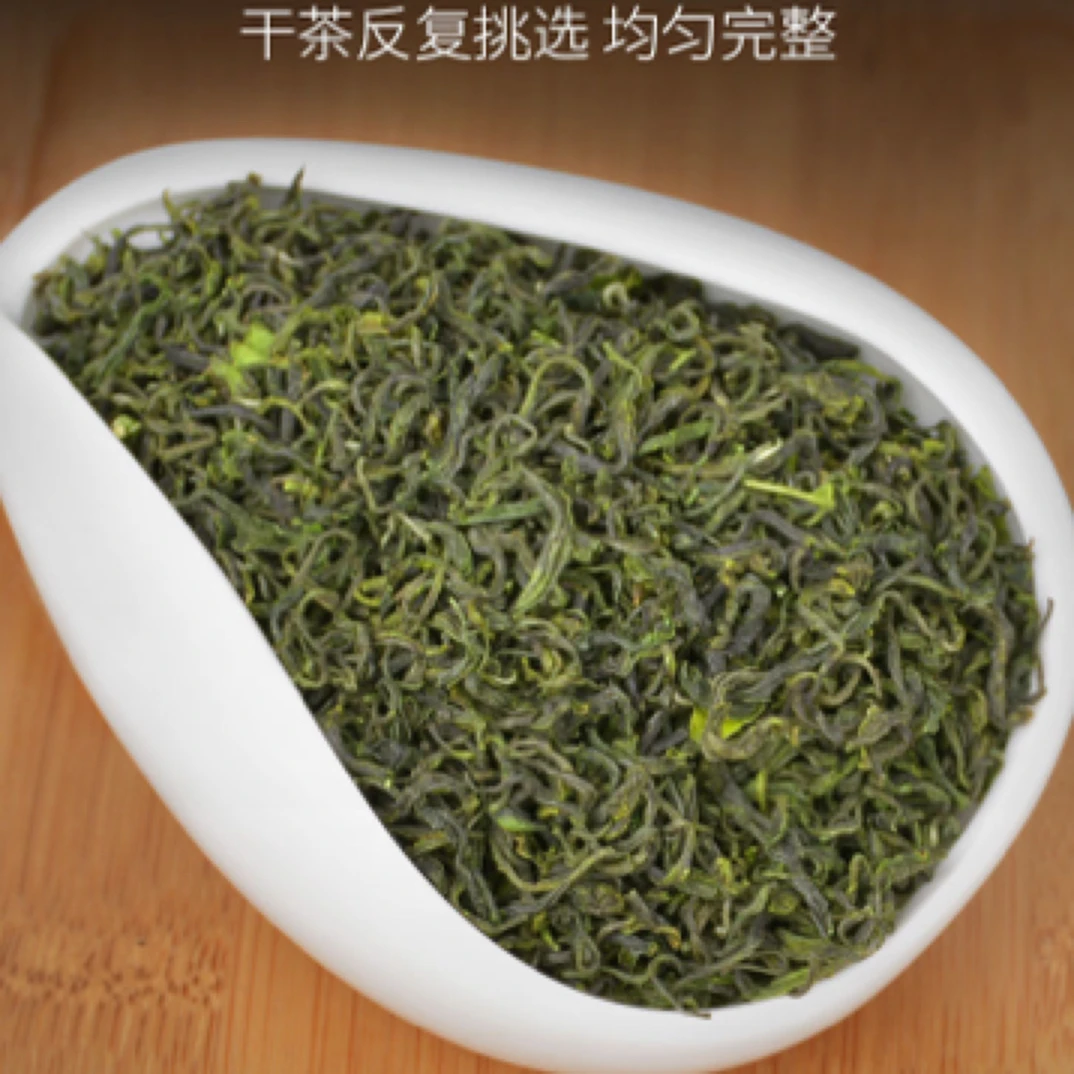 崂山绿茶春末绿茶豆香一斤四包